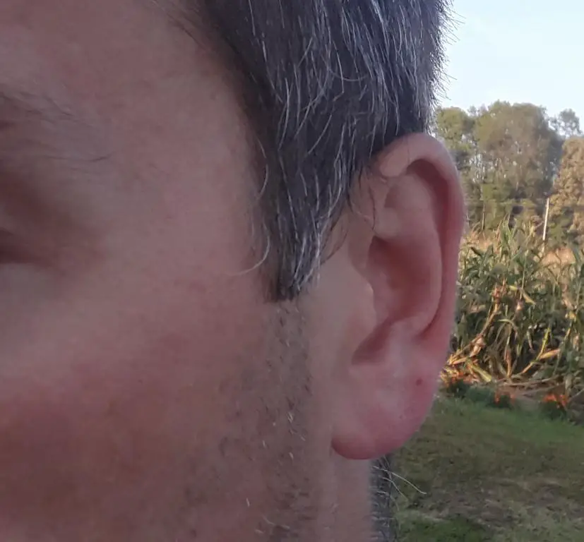 ear